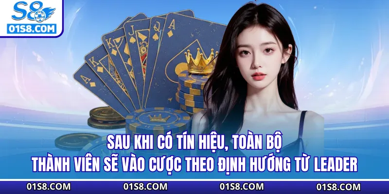 Sau khi có tín hiệu, toàn bộ thành viên sẽ vào cược theo định hướng từ leader